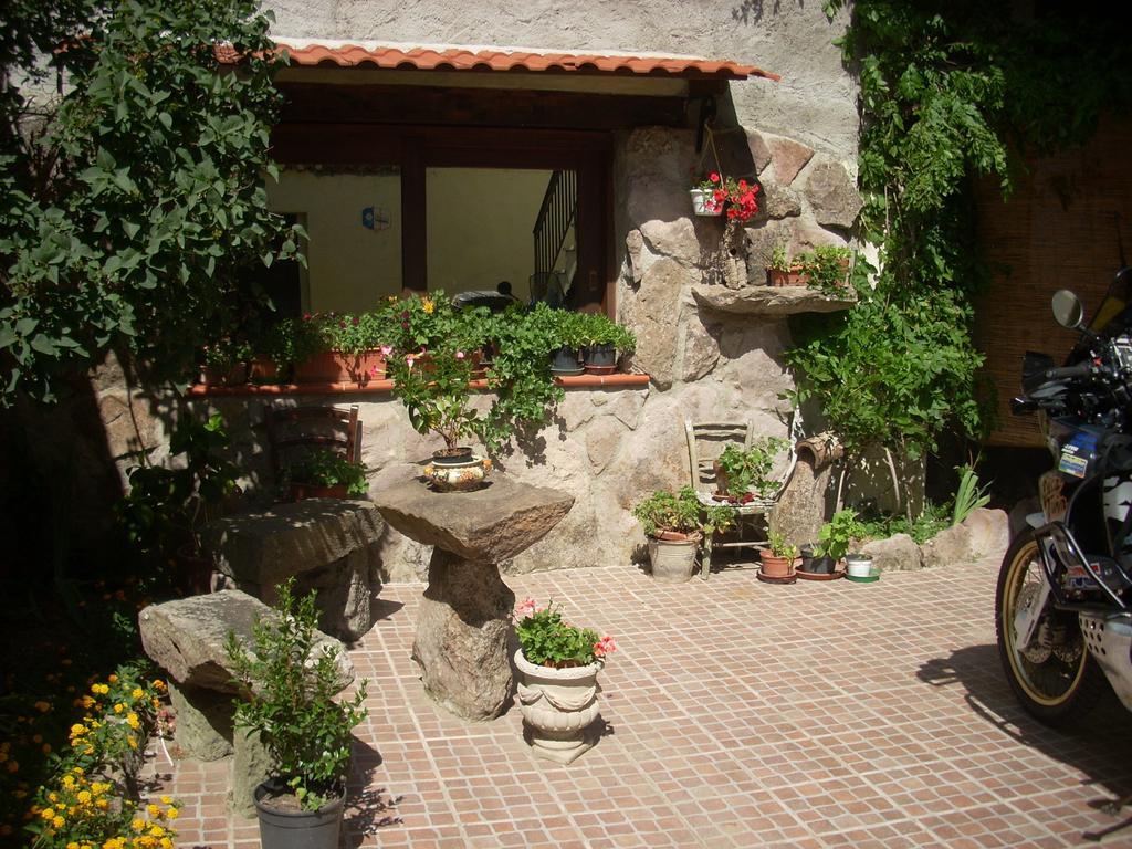 Sa Rosa E Su Trapperi Bed & Breakfast Oschiri Luaran gambar