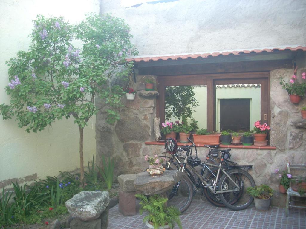 Sa Rosa E Su Trapperi Bed & Breakfast Oschiri Luaran gambar