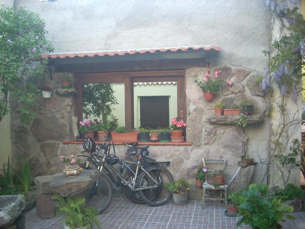 Sa Rosa E Su Trapperi Bed & Breakfast Oschiri Luaran gambar